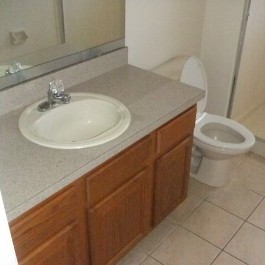Bathroom Inspection
